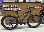 Xe đạp điện địa hình Giant STP 24 2022***